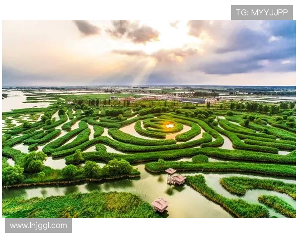 以零碳排场馆为核心的绿色城市未来发展新路径探索与区域协同创新实践