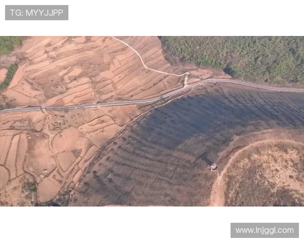 无人机摄影视角下的城市山川与自然风光创新表达探索创新路径研究 - 副本 - 副本 (2)