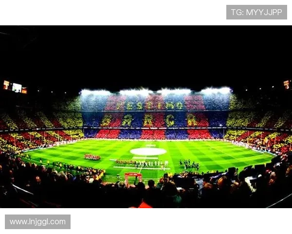 澳网公开赛百年风云与冠军传奇全景回顾赛事发展与未来展望之路探