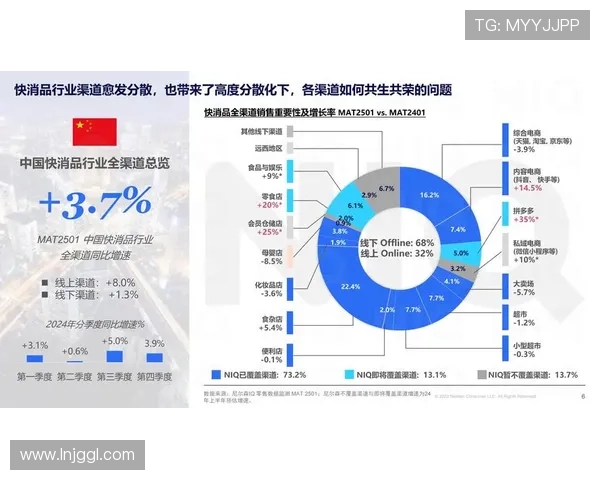 综合格斗竞技魅力与技术演进及未来发展趋势深度剖析全球格局变化 - 副本 - 副本 (4)